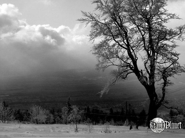 widok z Magurki