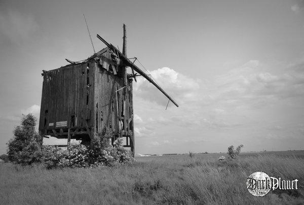 Koźlak - wielkopolska