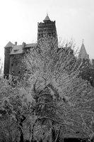 Bran Castle (Architektura)