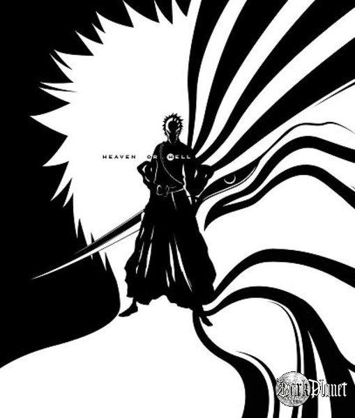 Bleach - Ichigo+hollow