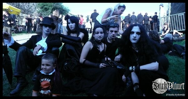 fans
