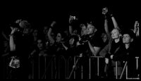 fans