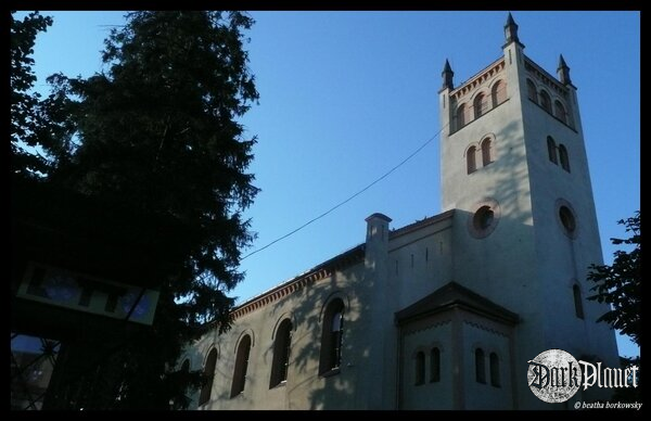 bolkow at the morning