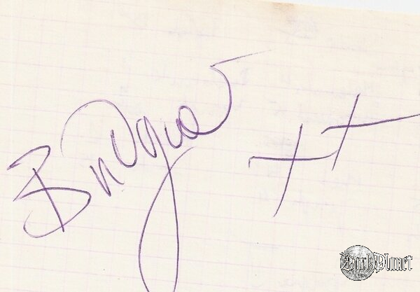 Budgie- ZABRZE 1995