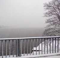 Zima