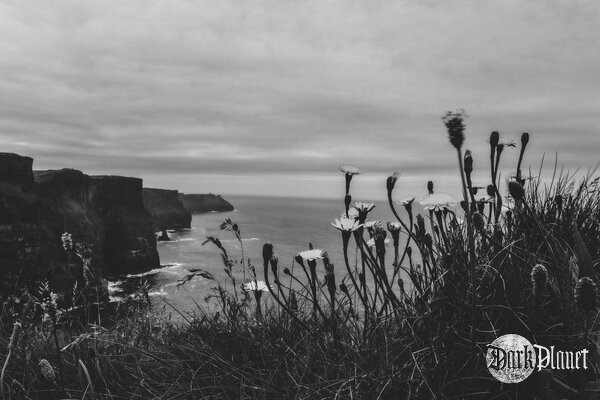 Cliffs of Moher