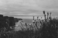Cliffs of Moher