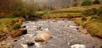 Natura Glendalough [natura]