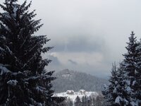Winter 2013