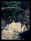 deep-forest