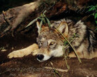 Howling_Soul