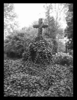Limburg