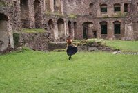 Castle Party 2011