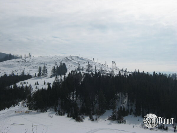 Widoki