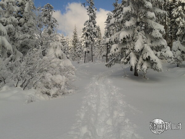 the way On