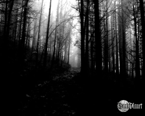 Svart skog