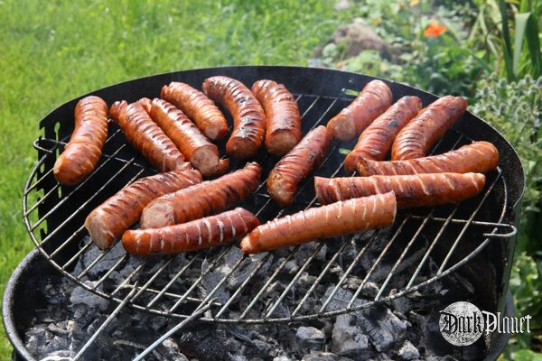 nie-mroczne, tylko rumiane, czyli grill u naszego gospodarza ;)