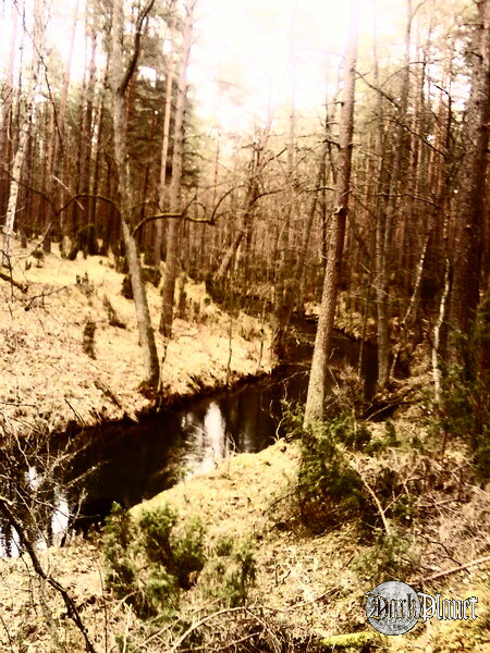 L.P3