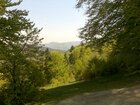 elkurczako