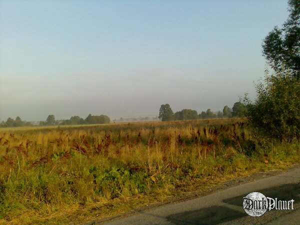 Mazowieckie popołudnie (natura)