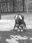 krewnaSzatana