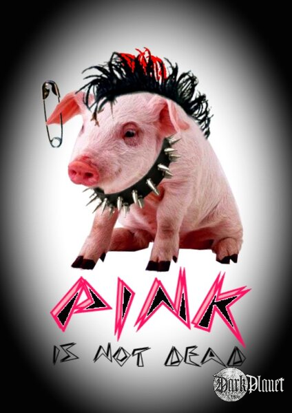 pink pig