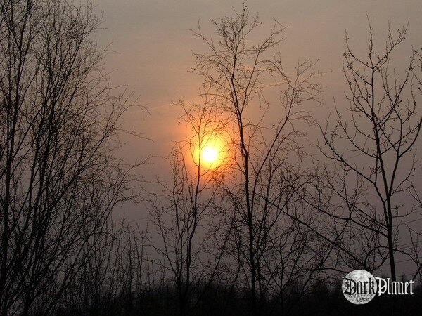 sole