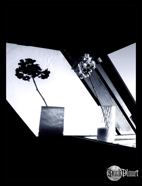 flower [Natura]