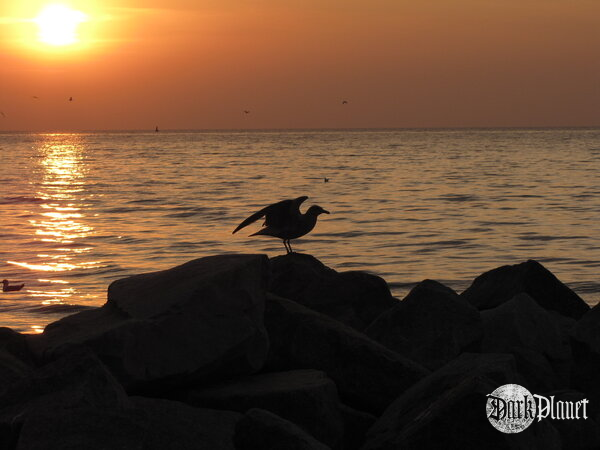 ready to fly?