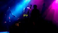     Koncert I AM X w Jarocinie 2009
    