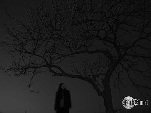 "...Here we drown in our grief, drown in an absence of light"