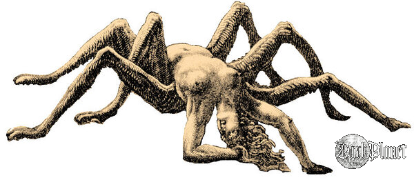 Arachne
