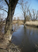 Świńska rzeka