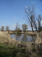 Świńska rzeka
