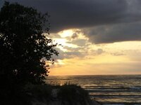 photos