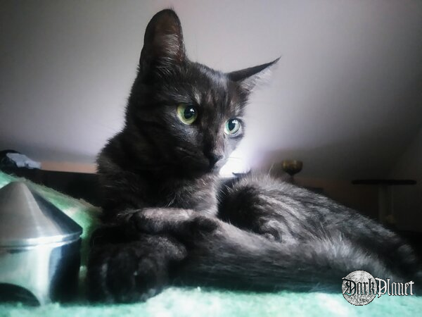 Luna;-)
