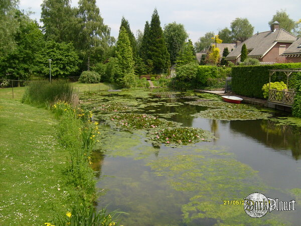 Hollandia -Hedel 