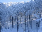 Karadhras