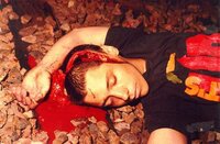 Put to sleep.<br />