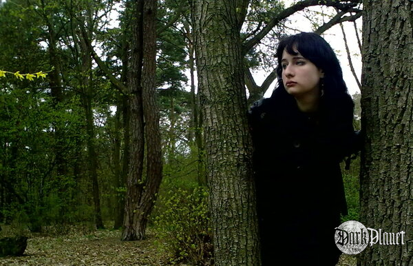 Wood's Smell 