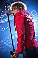 Die Toten Hosen