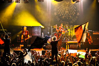 Die Toten Hosen