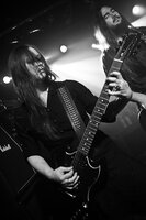 Tristania