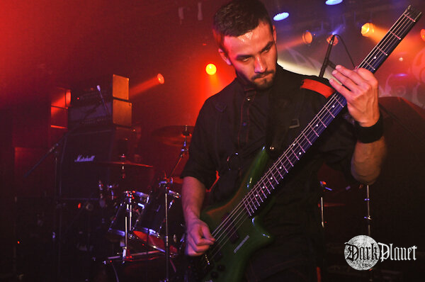 Vedonist