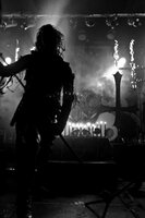 Watain