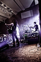 Alestorm