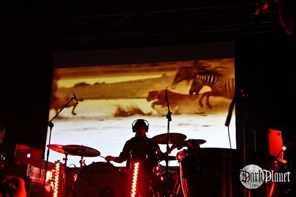 Ulver