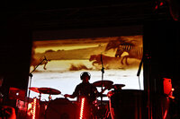 Ulver