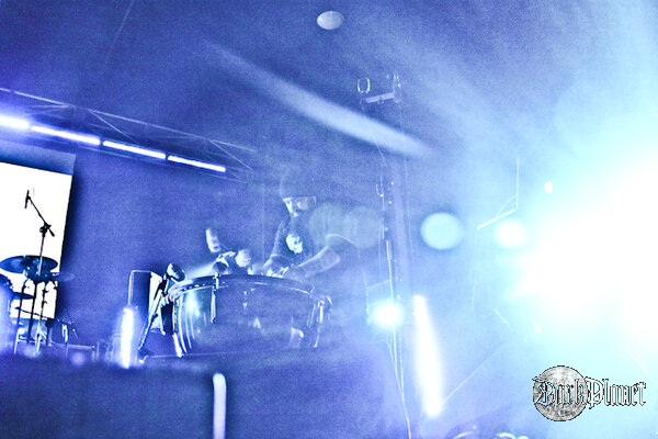 Ulver