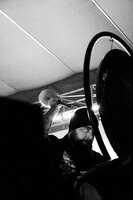 Ulver